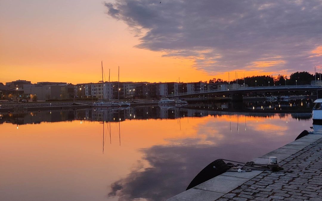 Mitä tarkoitetaan lähetetyn työntekijän edustajalla