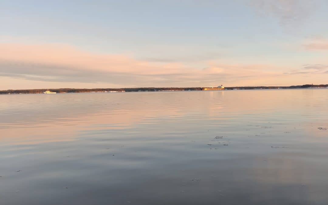 Työn tilaaja – tunnista työperäisen hyväksikäytön riskit ja toimi!