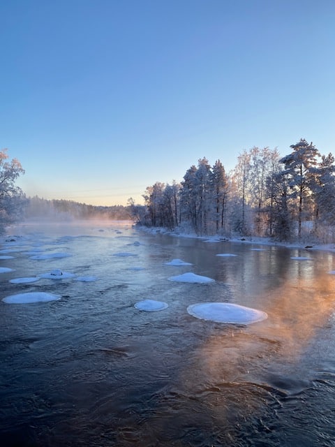 Checkfin specialists • Checkfin Oy